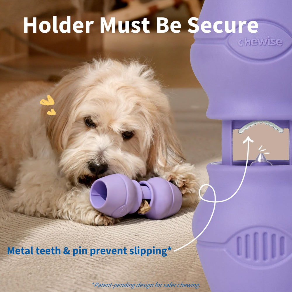 PetClan Chewise metal teeth closeup highlighting rust-resistant chew-gripping design.