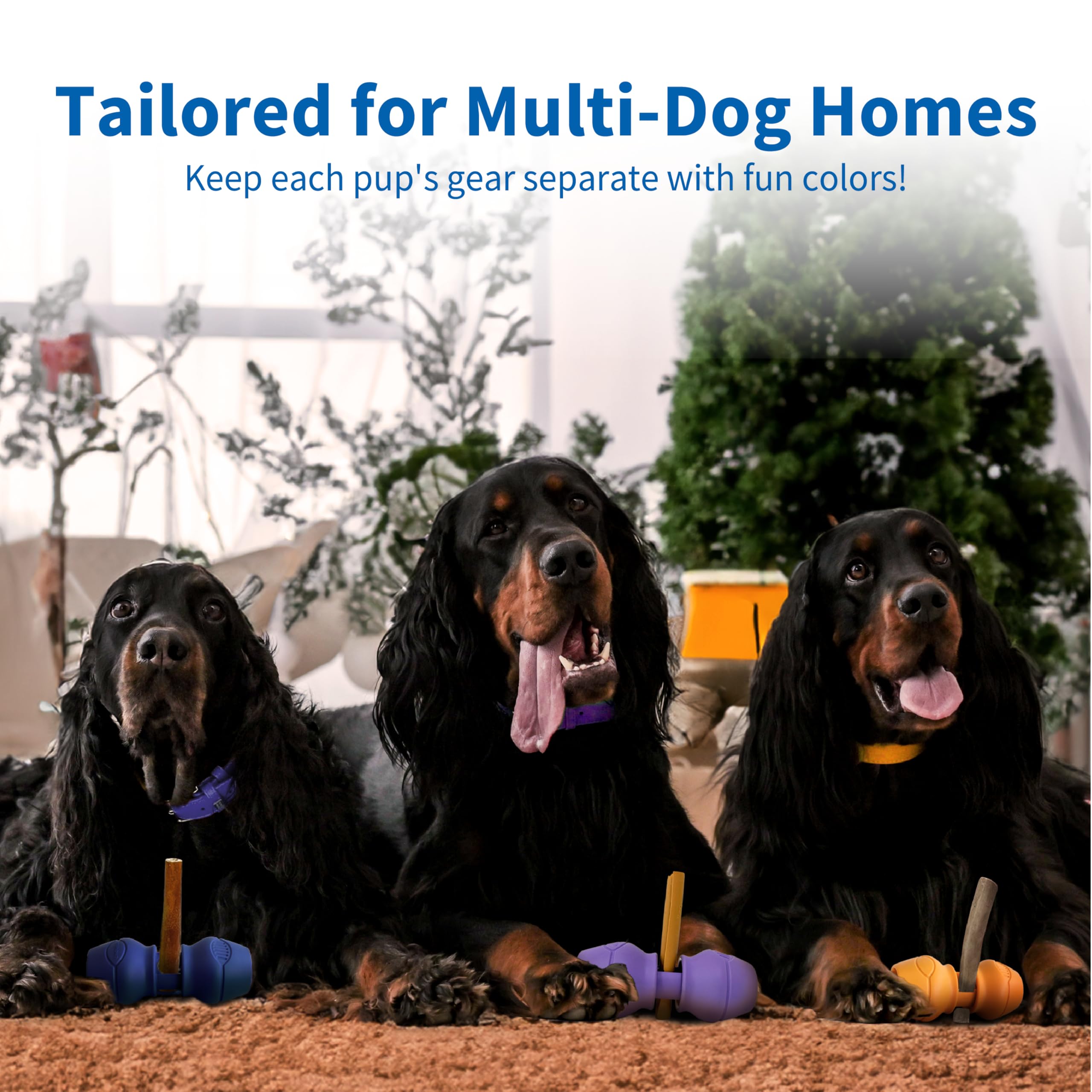 PetClan Chewise trusted by trainers for safe chew times and reliable performance
