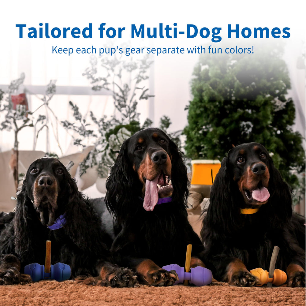 PetClan Chewise trusted by trainers for safe chew times and reliable performance