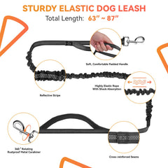 PETCOOZ extended leash 63-87 inches offers flexible freedom while maintaining control.