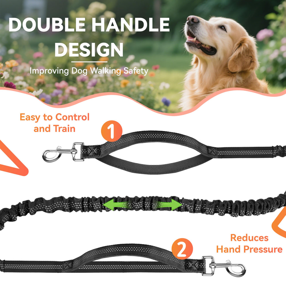 PETCOOZ ideal for large to medium dogs during walking, running, or hiking.
