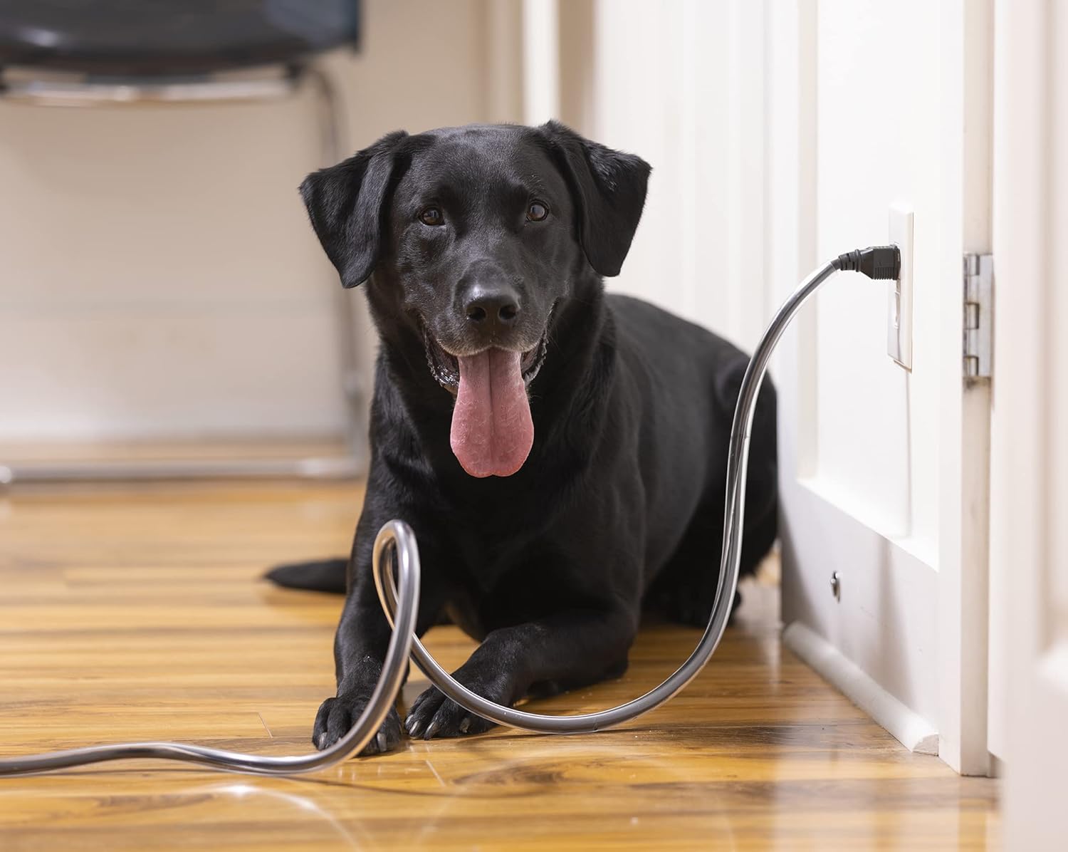 PetCords printer and TV cables protected with clear, durable barrier.