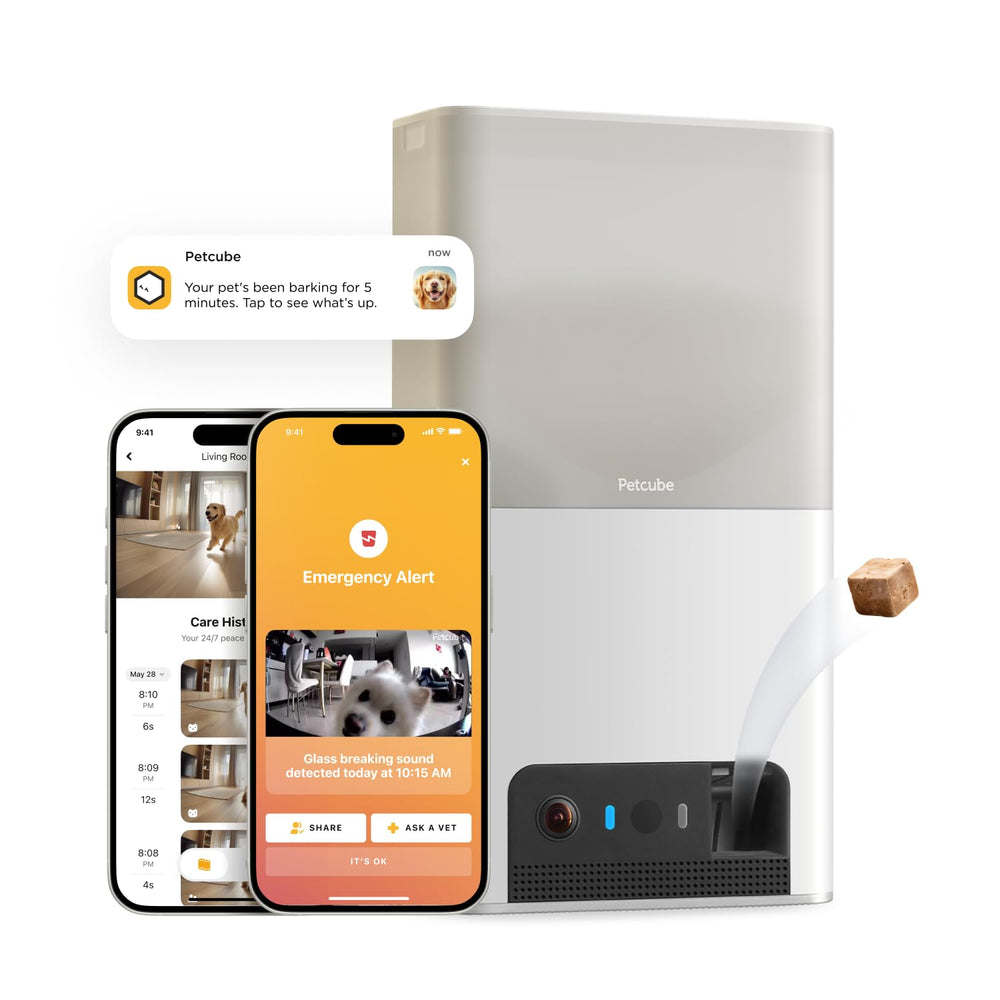 Petcube Bites 2 Lite camera view for real-time pet check-ins with crisp 1080p video.