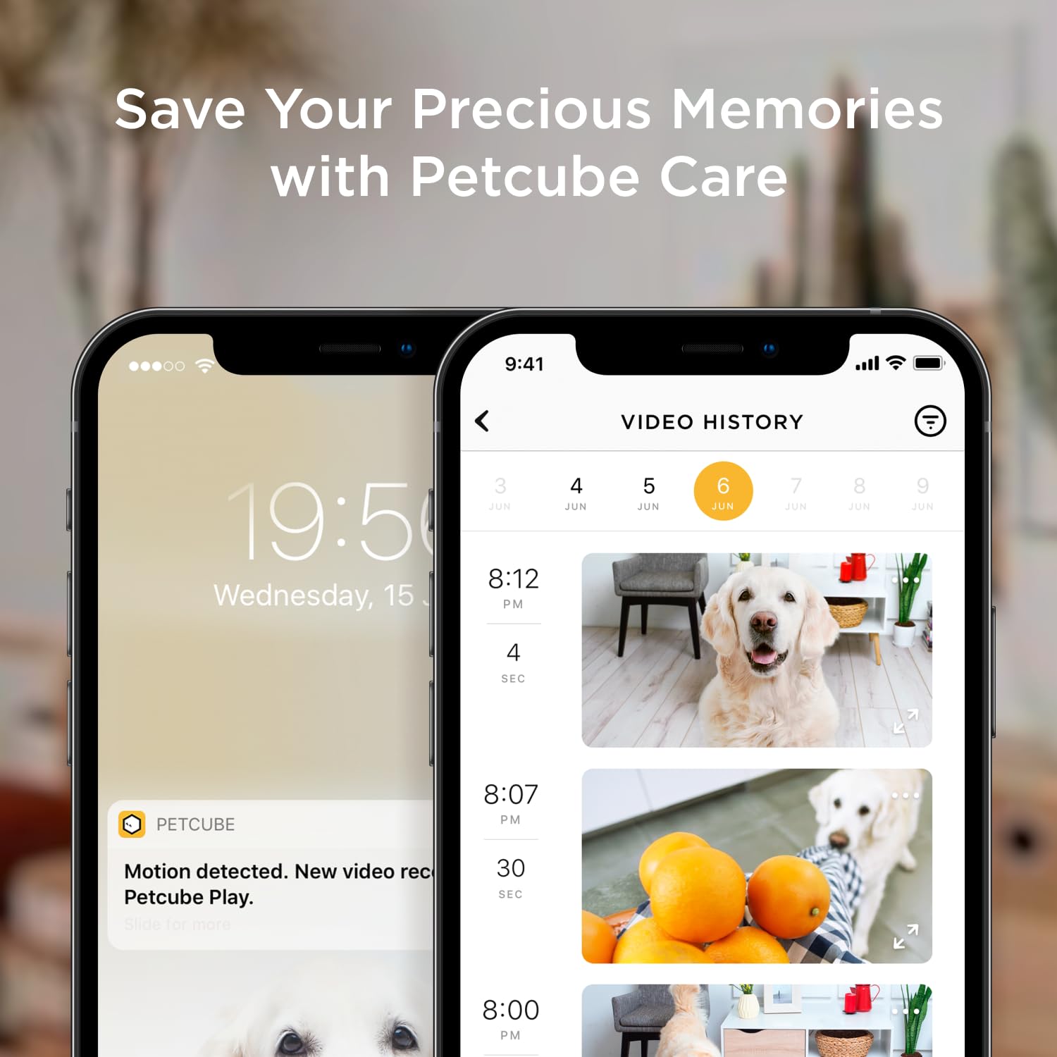 Petcube Bites 2 Lite security and support features for reliable ownership tracking.