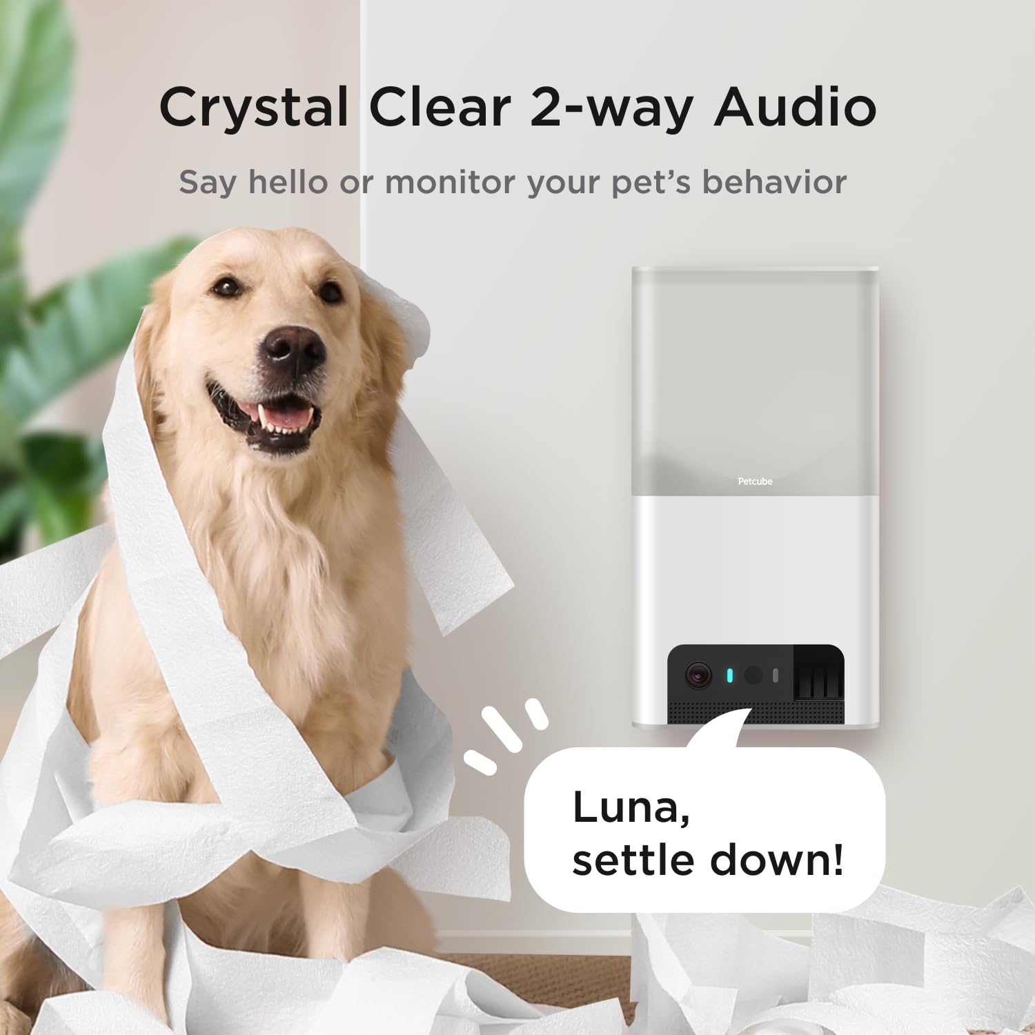 Petcube Bites 2 Lite two-way audio for interactive conversations with pets.