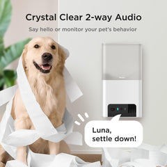 Petcube Bites 2 Lite two-way audio for interactive conversations with pets.