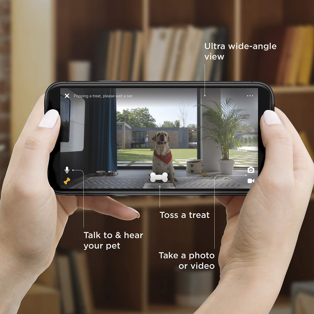 Petcube Bites 2 night vision enables monitoring after dark