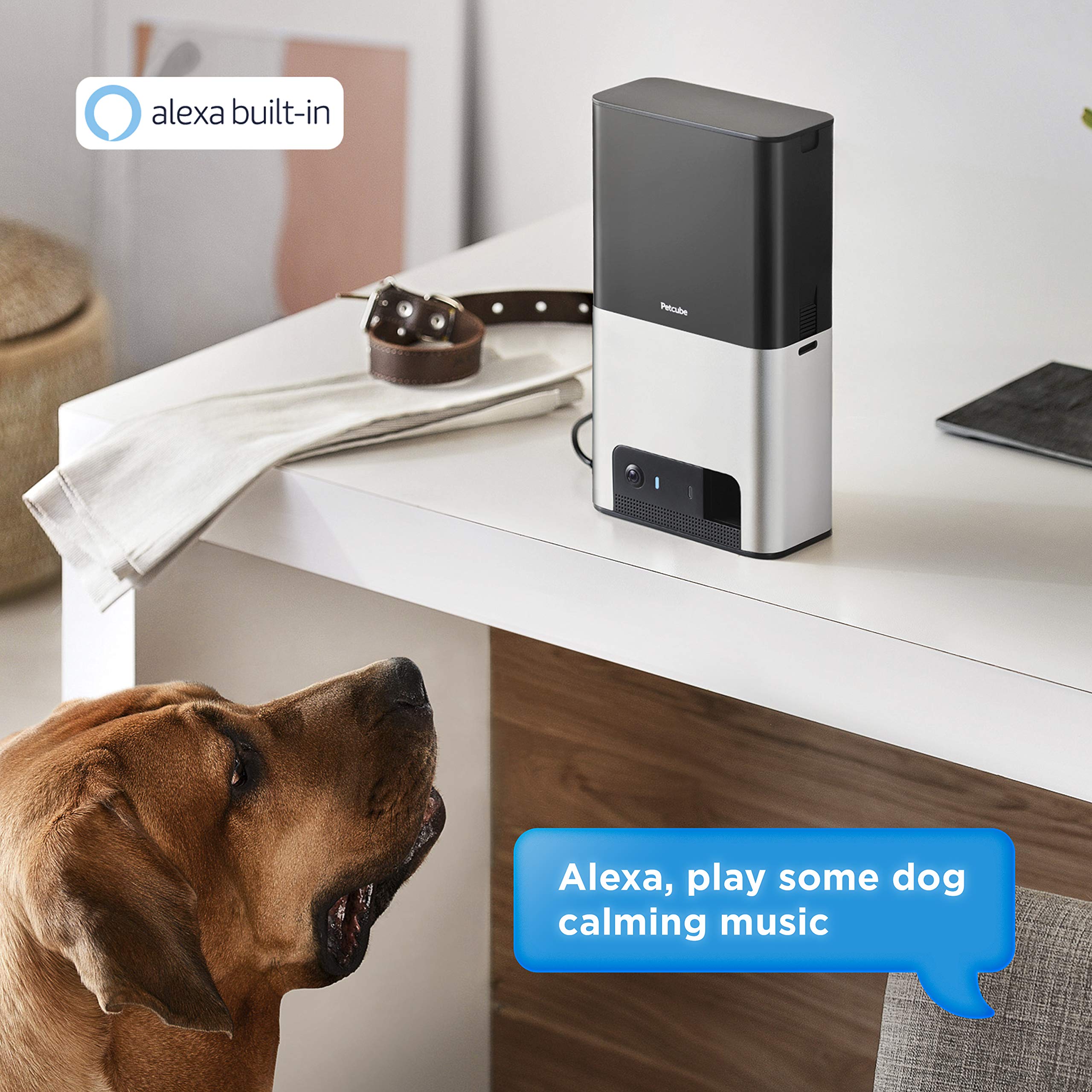 Petcube Bites 2 treat dispensing module for remote rewards