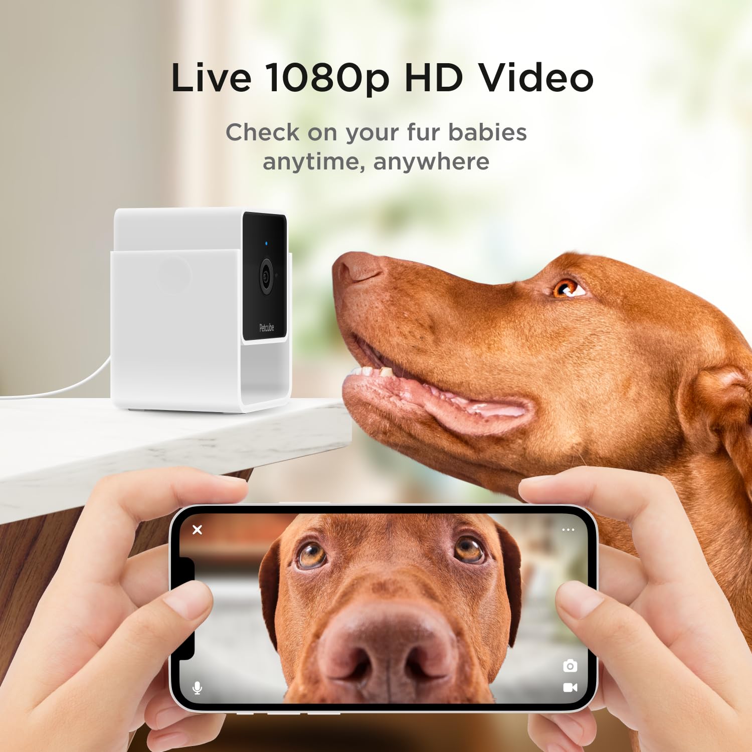 Petcube Cam 2-Way Audio: talk to pets and reinforce positive behavior.
