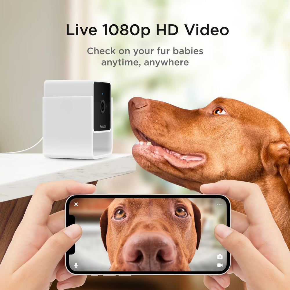 Petcube Cam 2-Way Audio: talk to pets and reinforce positive behavior.