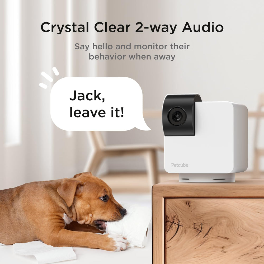 Petcube Cam 360 two-way-audio enables calm pet interaction through live chat.