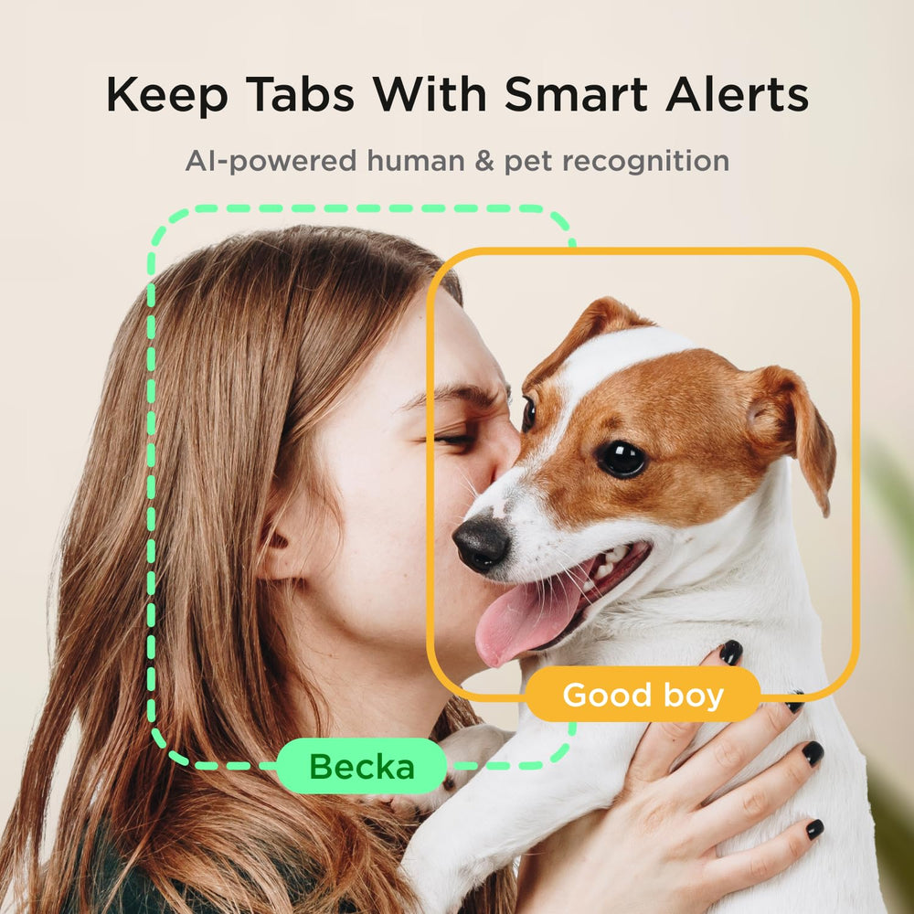Petcube Cam AI Motion Alerts: instant activity alerts tailored to your home.