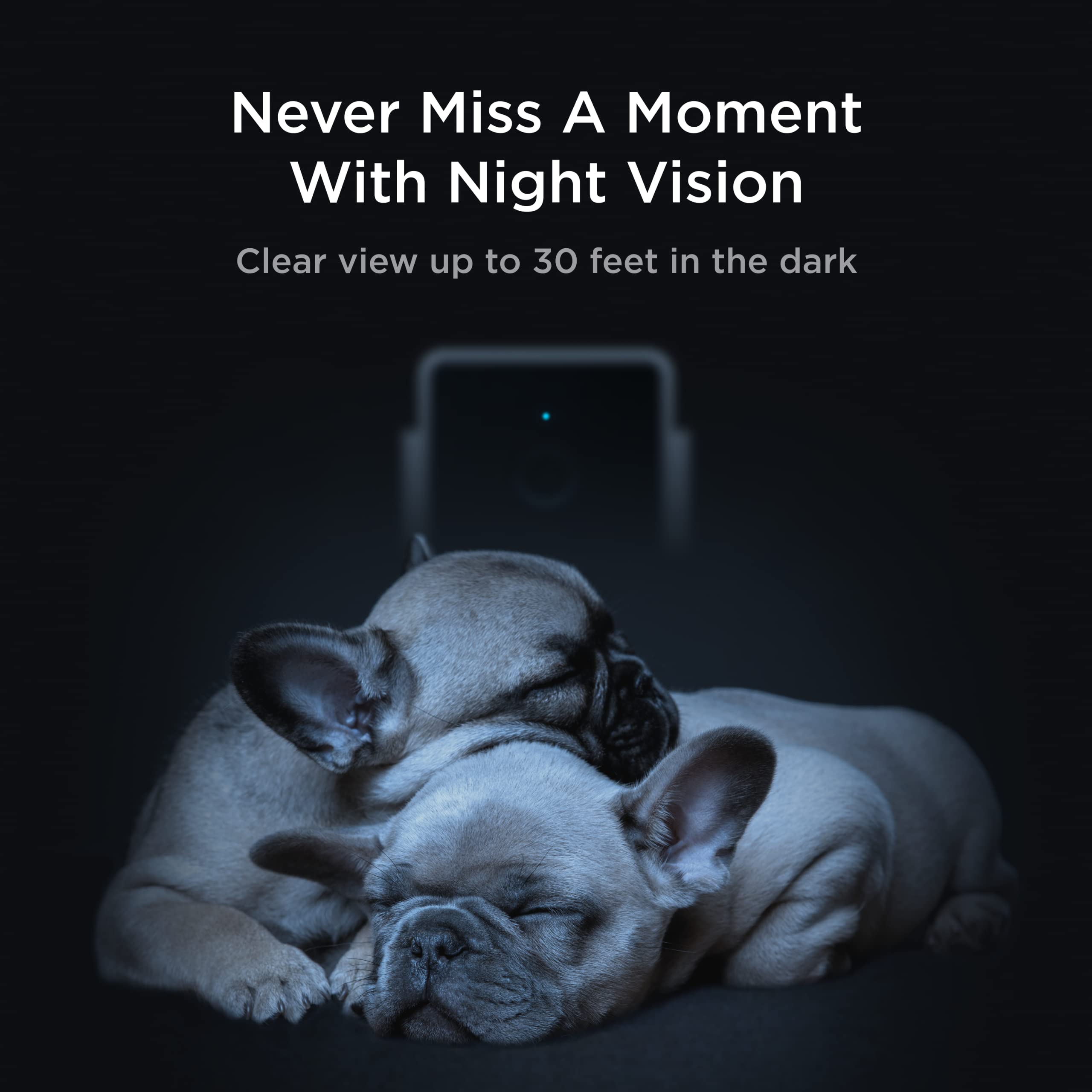 Petcube Cam AI motion alerts illustrate instant activity notifications.