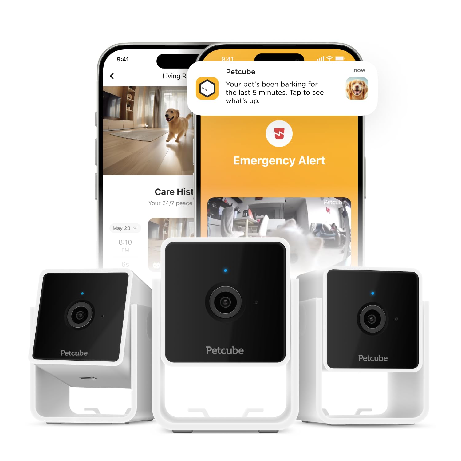 Petcube Cam Pack 3 overview: wide indoor view for around-the-clock pet monitoring.