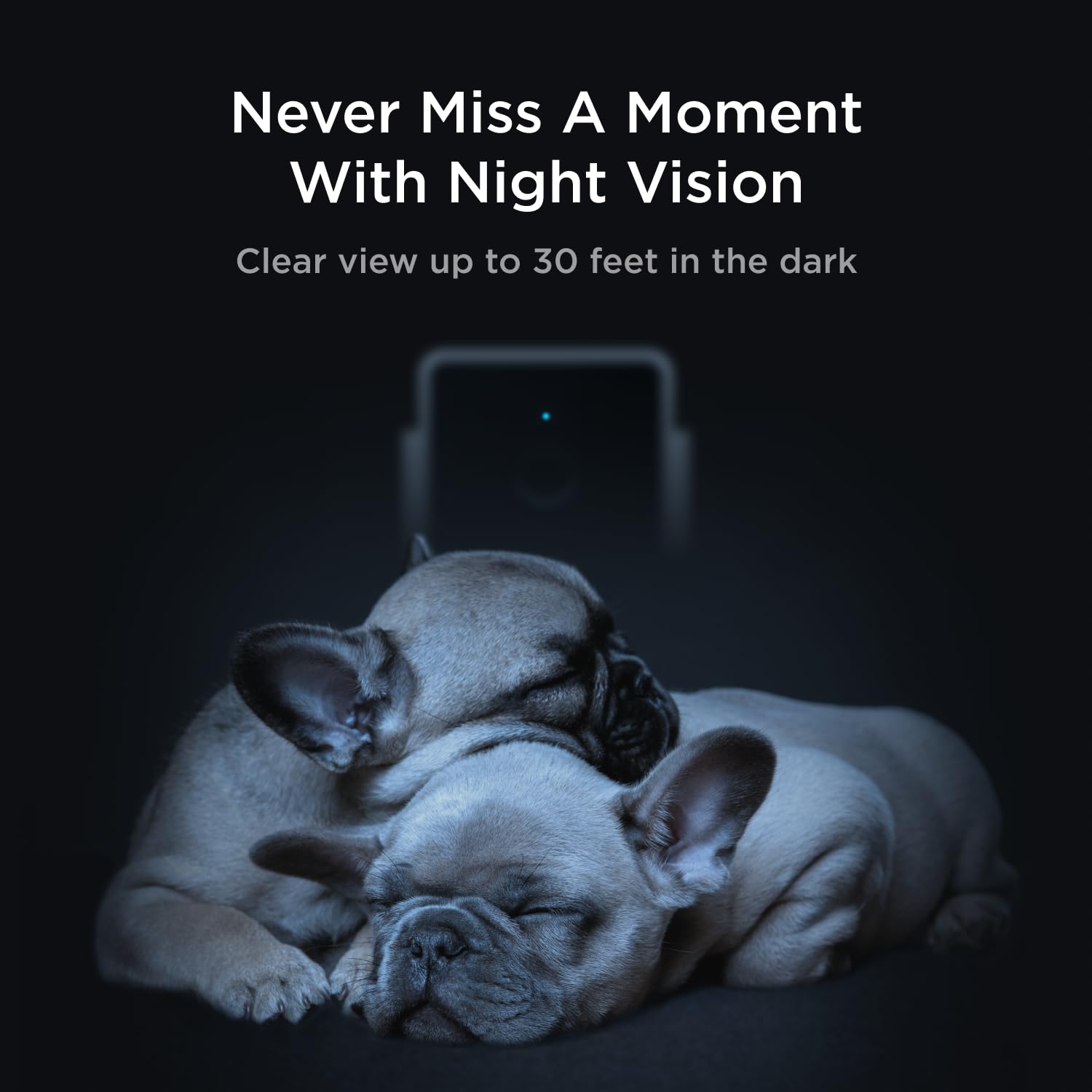 Petcube Cam Video History: review clips and save moments for later.