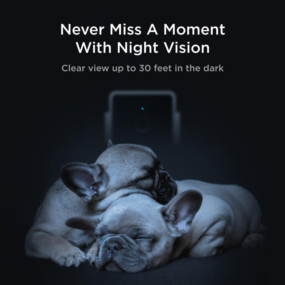 Petcube Cam Video History: review clips and save moments for later.