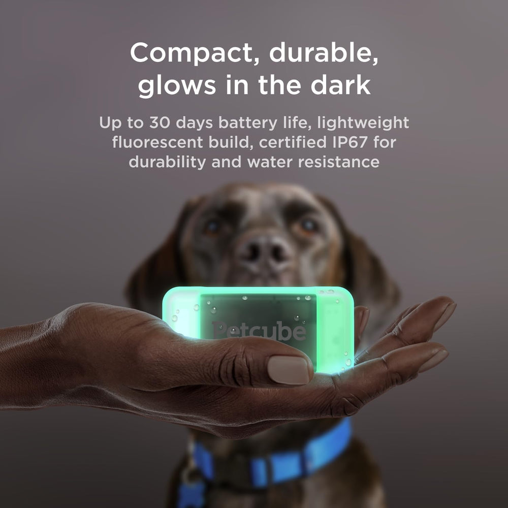 Petcube GPS Tracker escape alerts notify when your dog leaves safe zones.