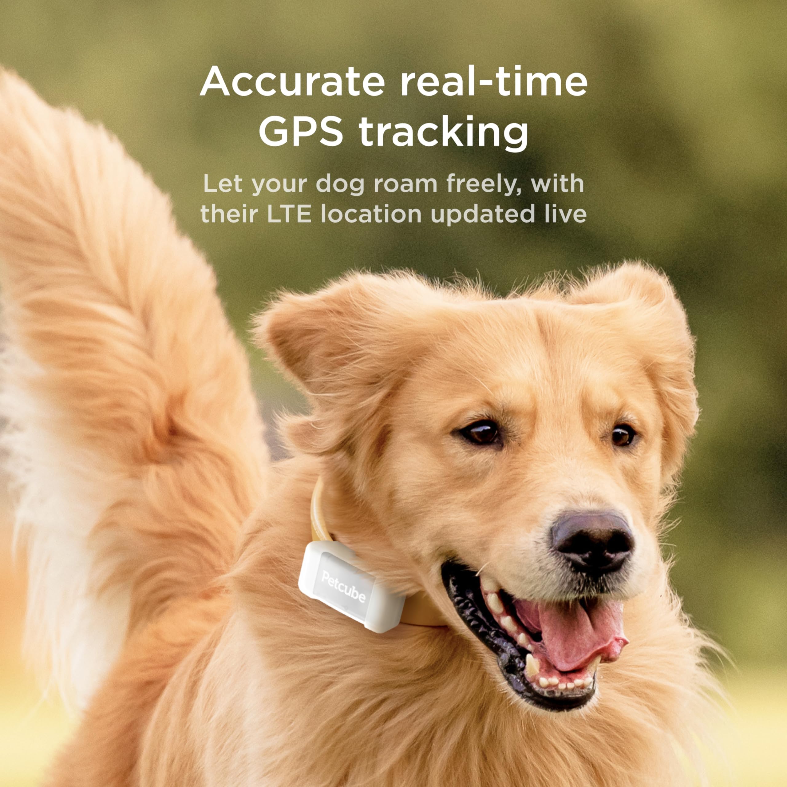 Petcube GPS Tracker subscription connectivity enables continuous real-time tracking via cellular networks.