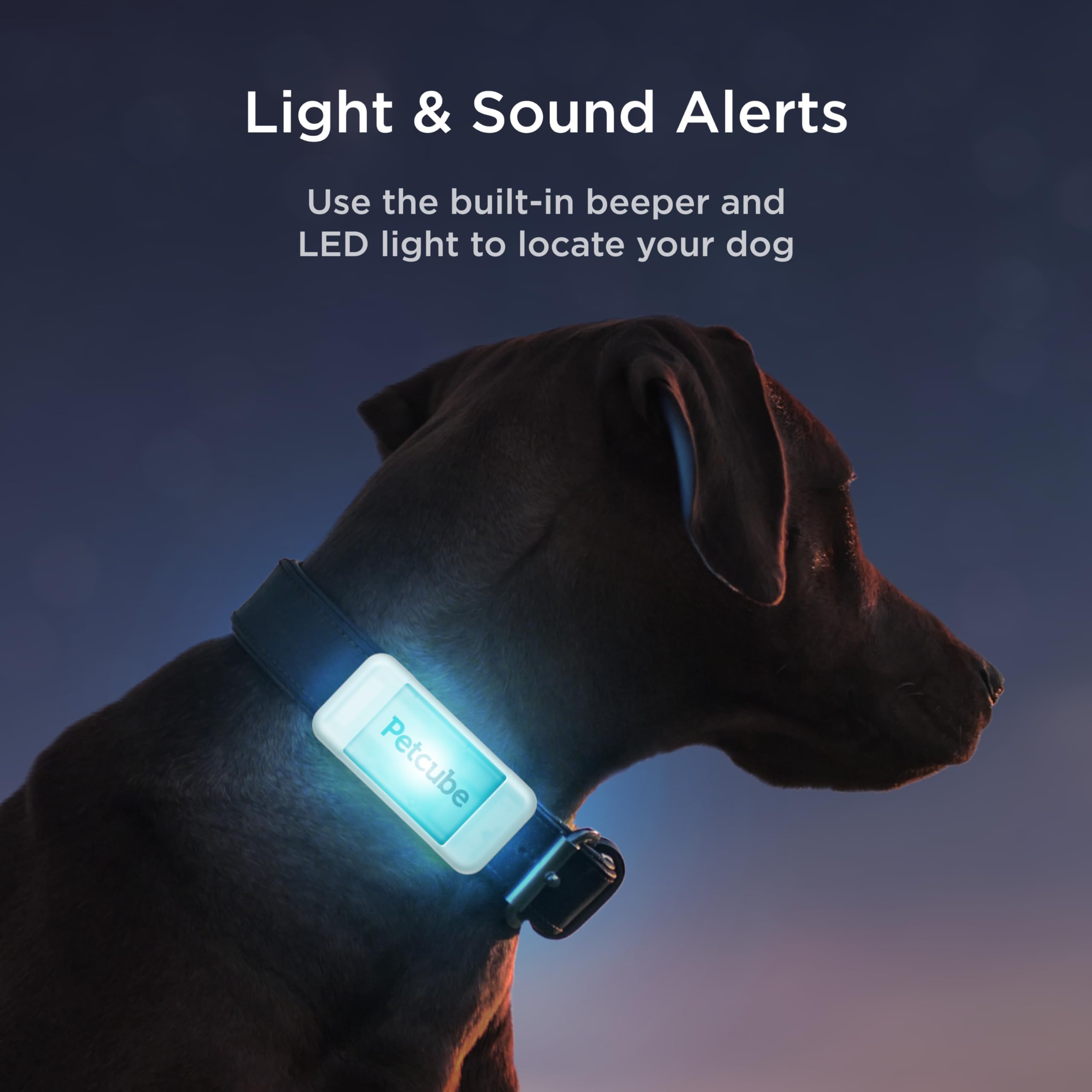 Petcube GPS Tracker waterproof case glows in dark for night location cues.