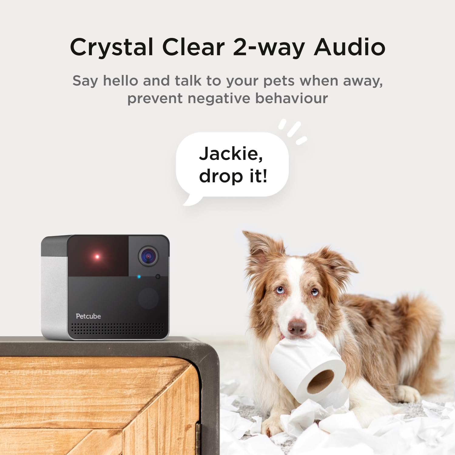 Petcube Play 2 easy setup image highlights quick installation and secure wifi connection