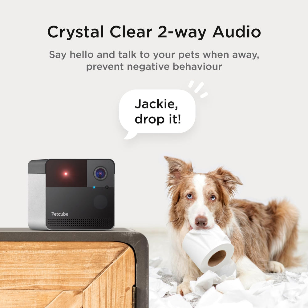 Petcube Play 2 easy setup image highlights quick installation and secure wifi connection