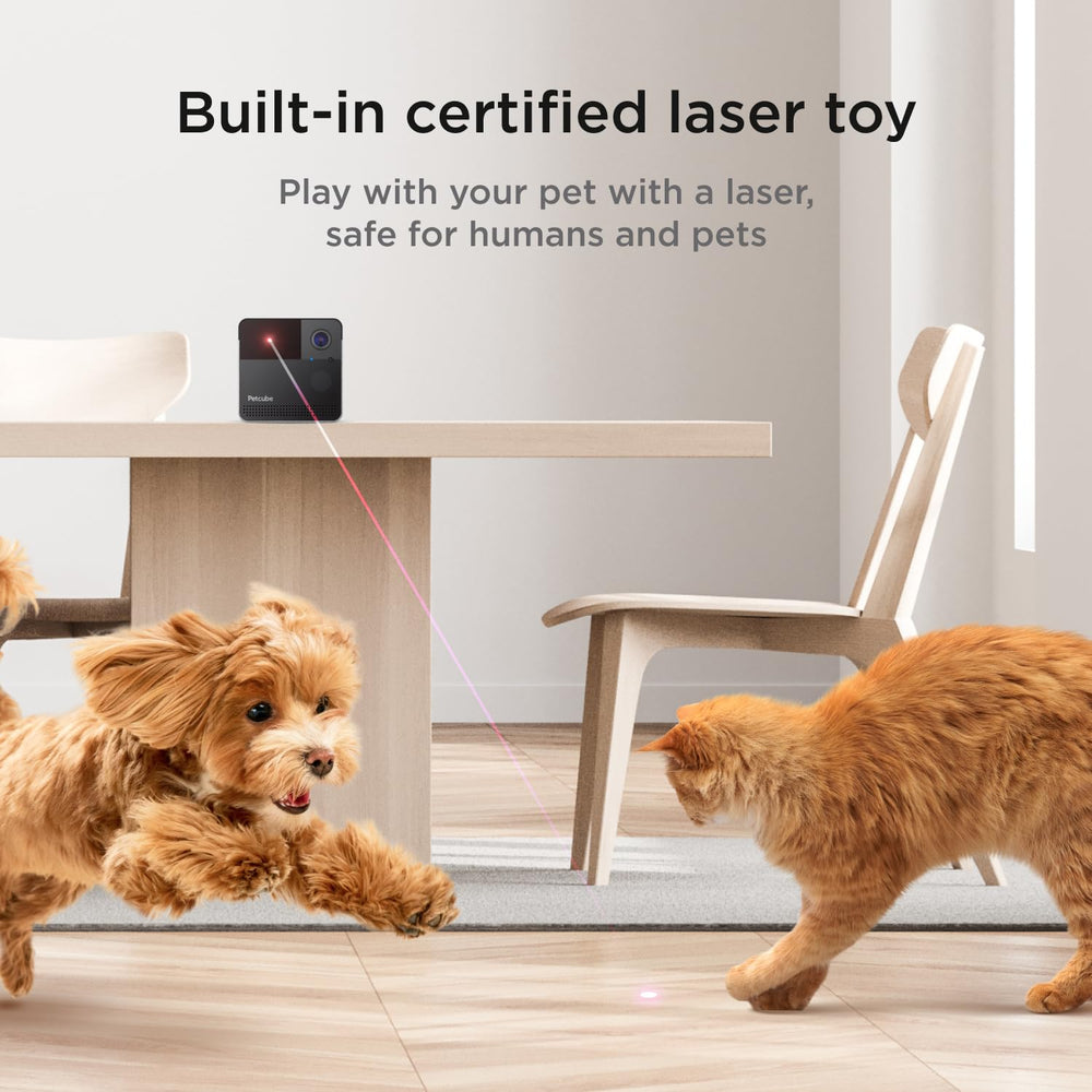 Petcube Play 2 laser toy control enables remote entertainment