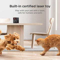 Petcube Play 2 laser toy control enables remote entertainment