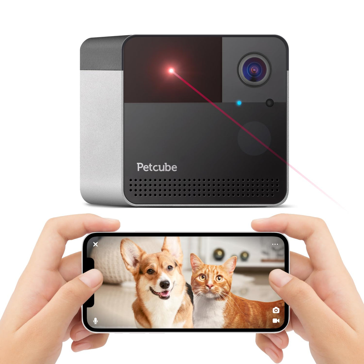 Petcube Play 2 live view for quick, clear remote monitoring