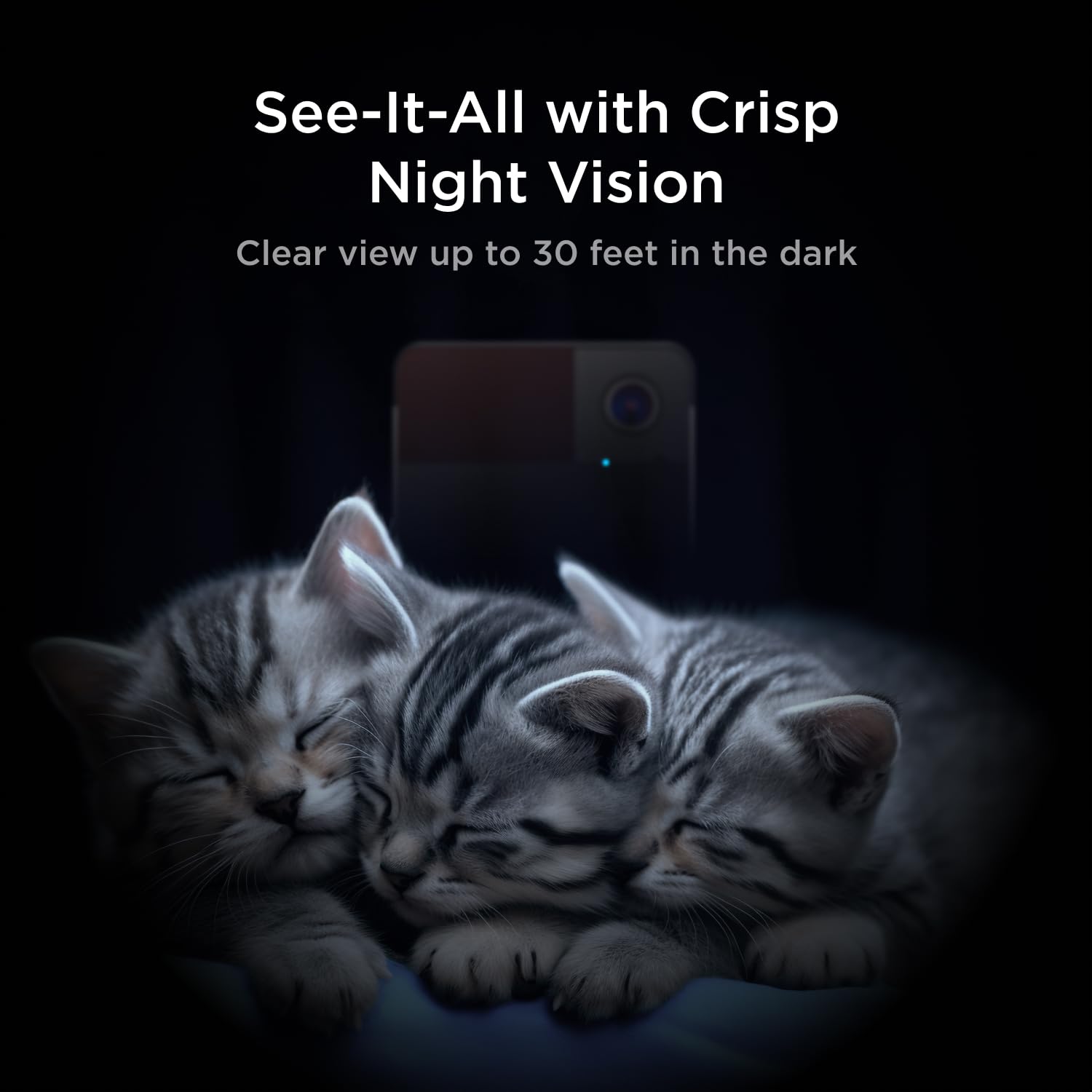 Petcube Play 2 motion and sound alerts capture activity when you are away