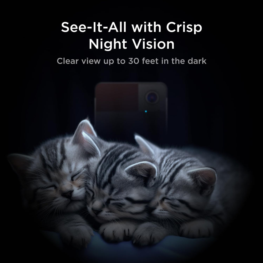 Petcube Play 2 motion and sound alerts capture activity when you are away