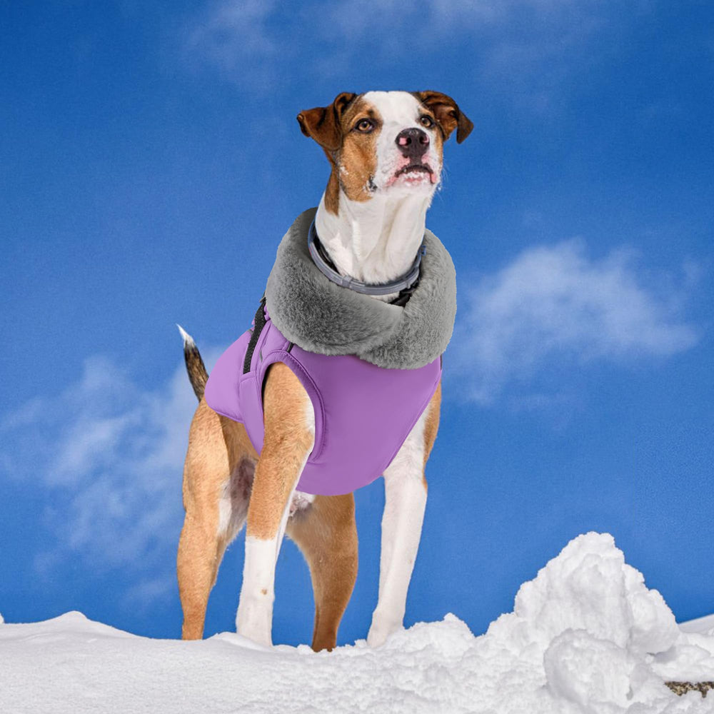 PETDSH dog coat large size options ensure great fit.