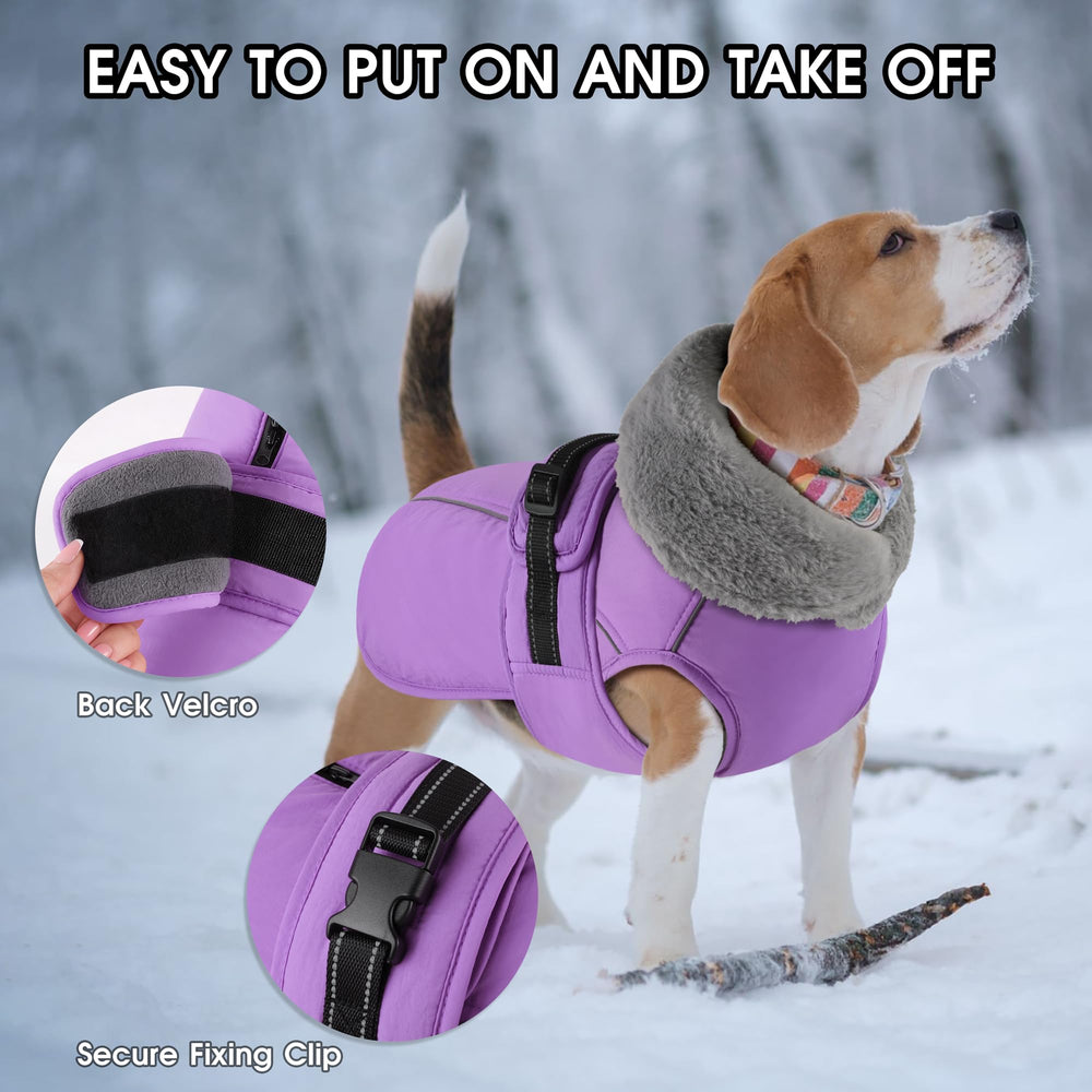 PETDSH dog coat large thick collar insulation demonstrated for extra warmth.