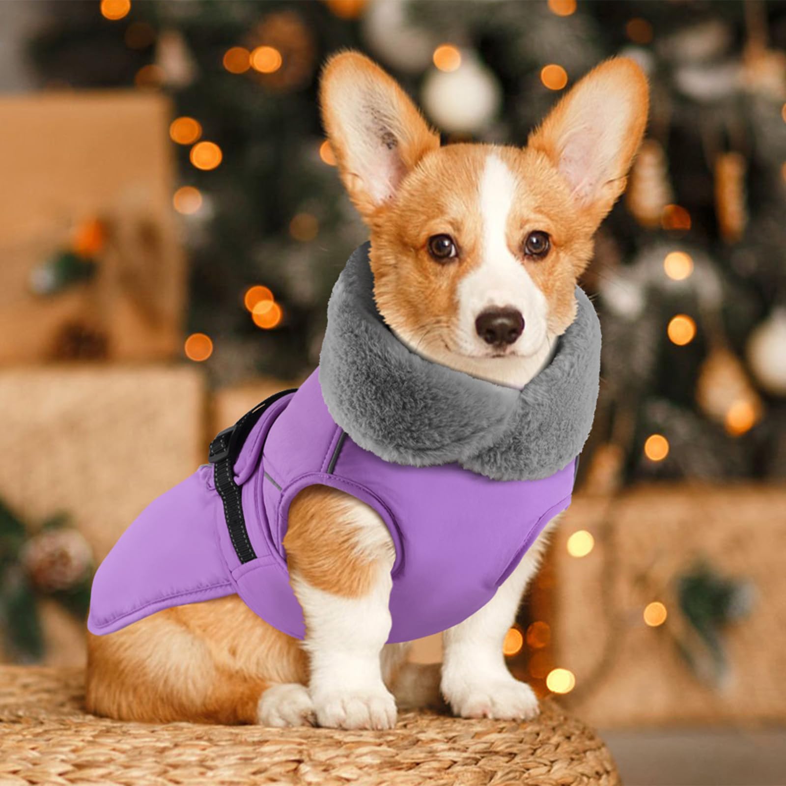 PETDSH dog coat large Velcro and buckle closure for easy on off.