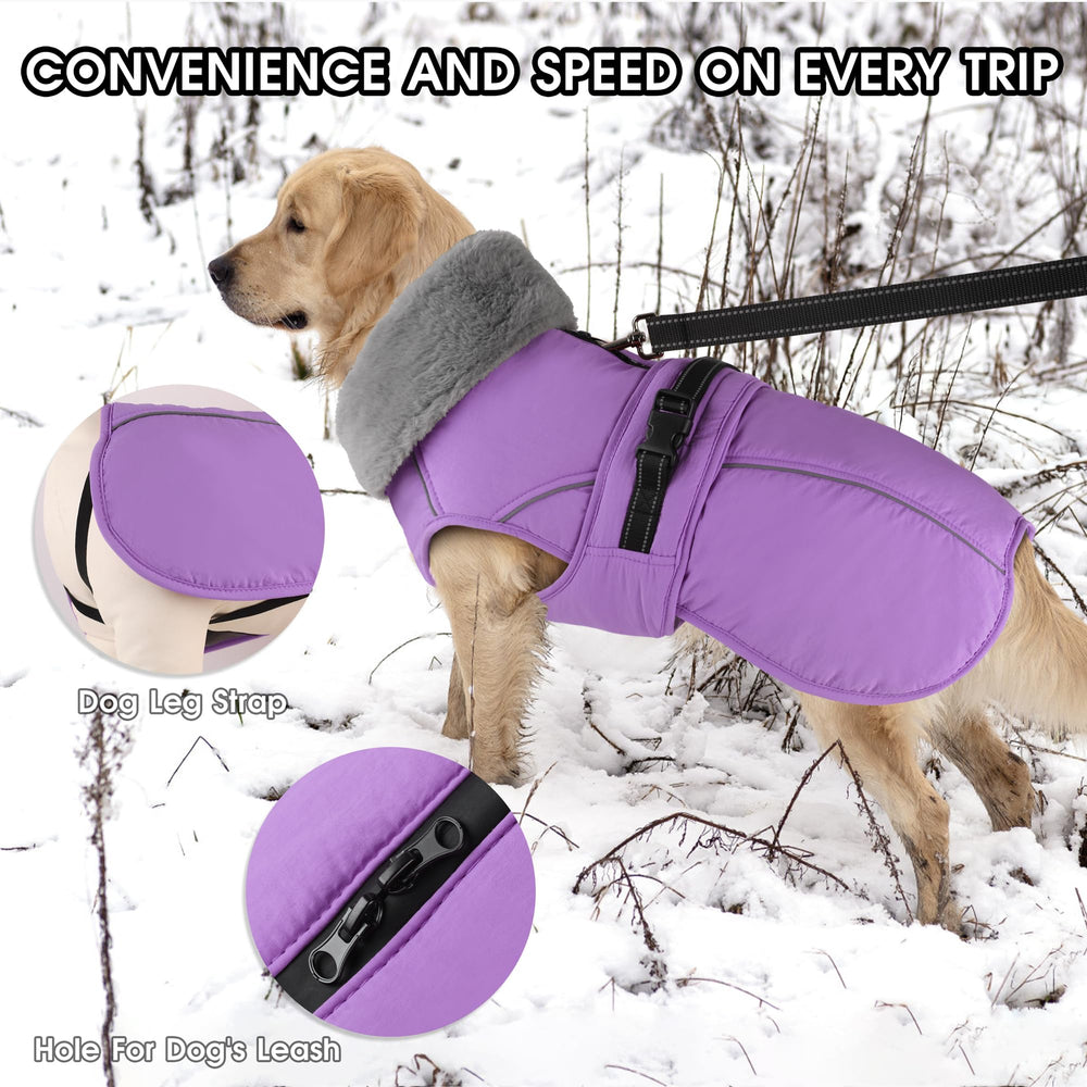PETDSH dog coat large waterproof zipper leash hole for secure dry walks.