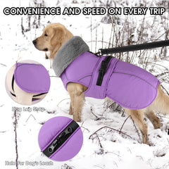 PETDSH dog coat large waterproof zipper leash hole for secure dry walks.