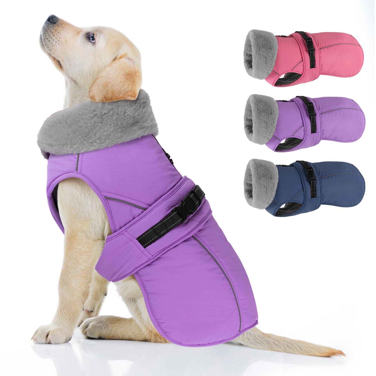 PETDSH dog coat large in purple front view, windproof warmth for outdoor walks.