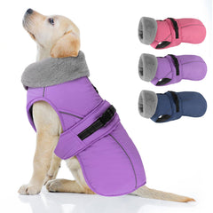 PETDSH dog coat large in purple front view, windproof warmth for outdoor walks.