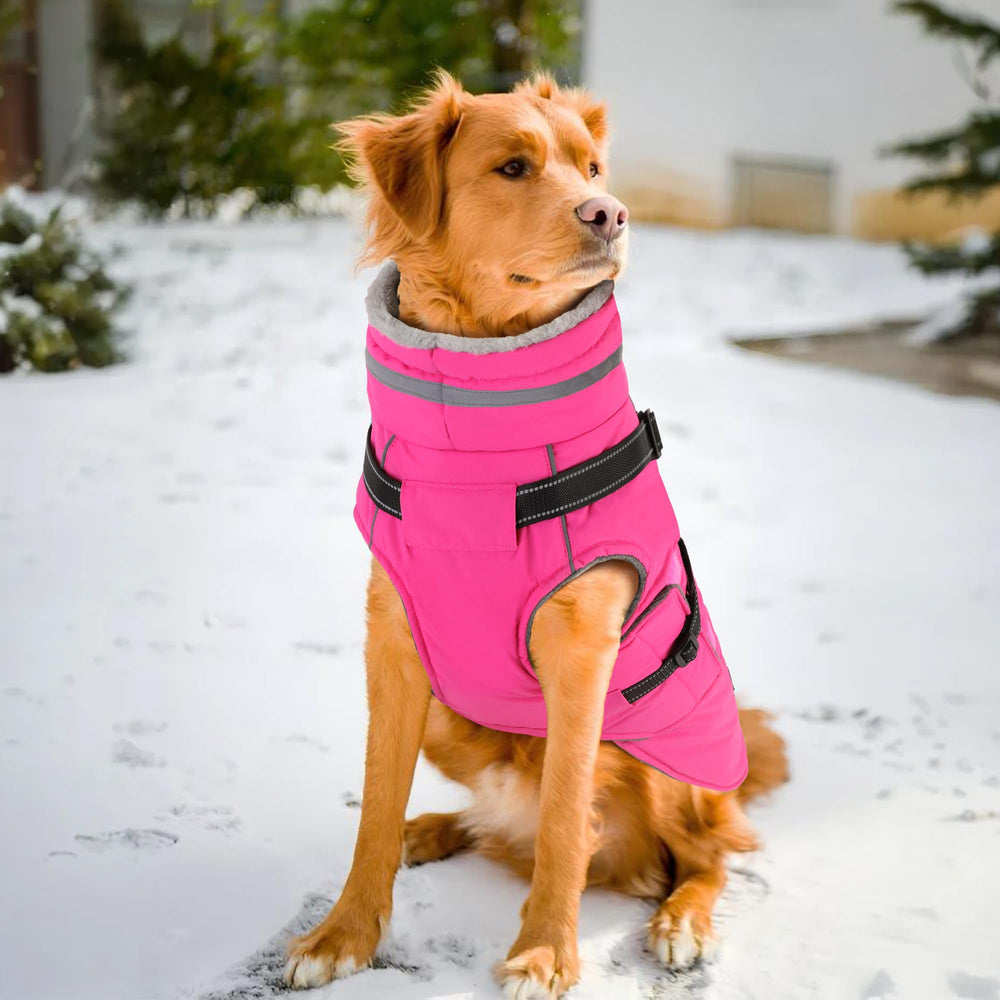 PETDSH dog coat size chart pink small fit guide helps choose the right size