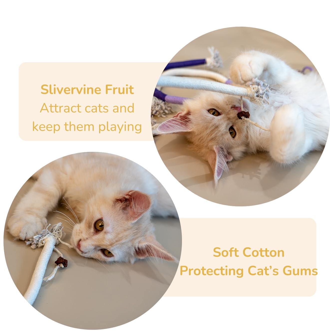 Petelligent Cat Toy for kittens promotes interactive exploration and dental-friendly play.