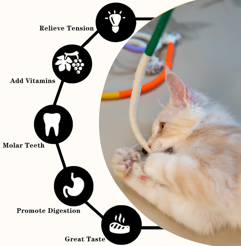Petelligent Cotton Rope Kitten Toys pack highlights dental-care friendly chew.