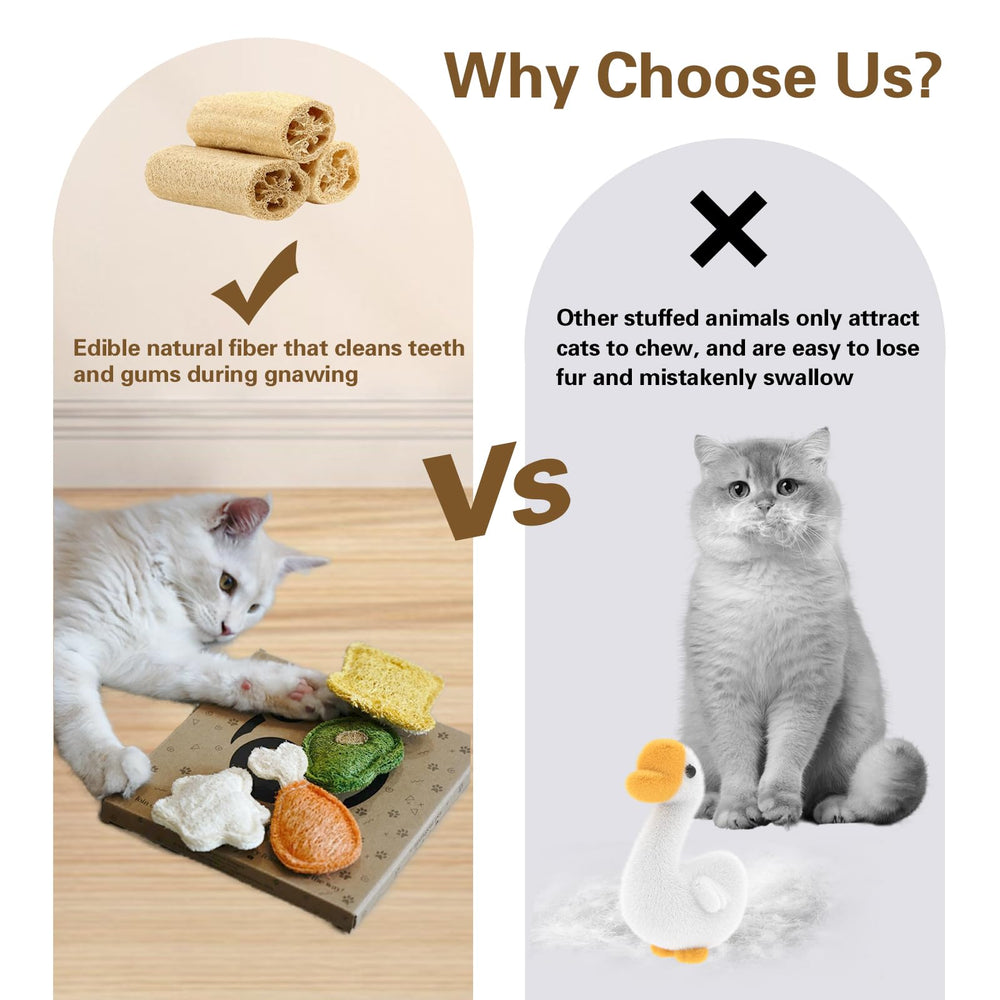 Petelligent loofah chew cat toy interactive chewing experience promotes longer engagement.