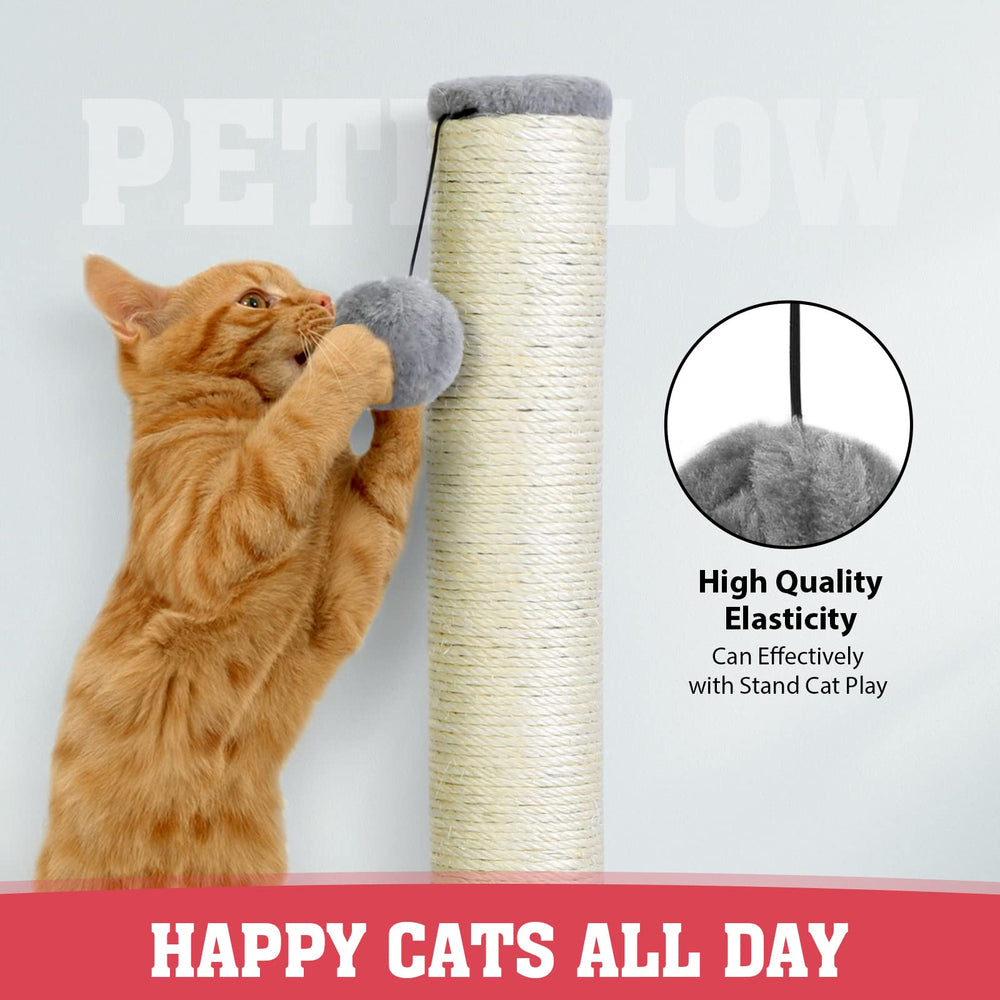 Petellow plush top platform offers a comfy resting spot between scrapes.