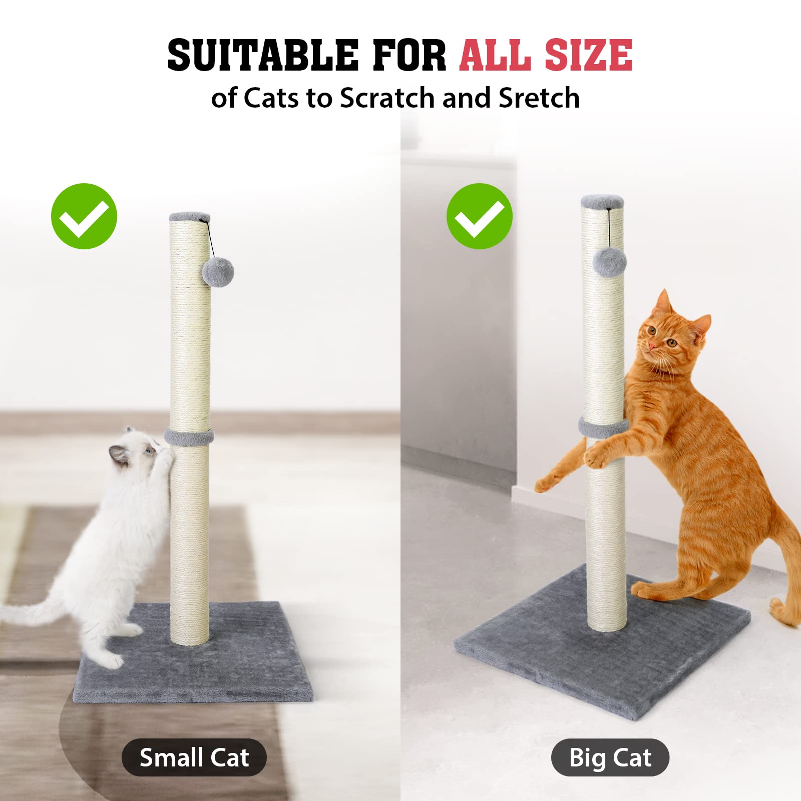 Petellow base-plate provides stable footing to prevent tipping during use.