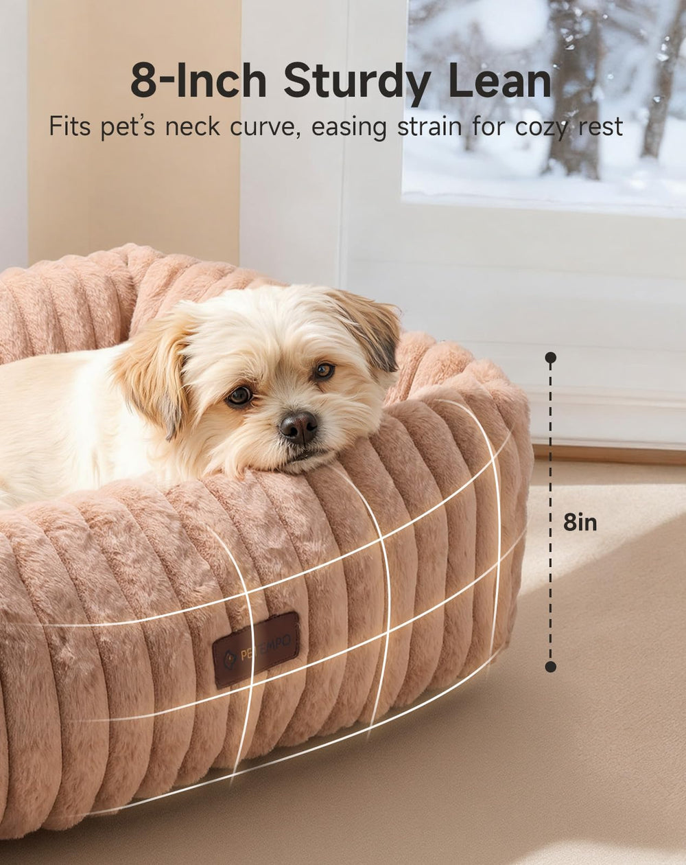 PETEMPO cat bed anti-slip bottom keeps placement secure during play.