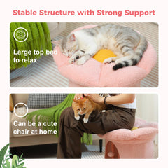 PETEPELA cat bed cat platform offers elevated viewing and comfy lounging.