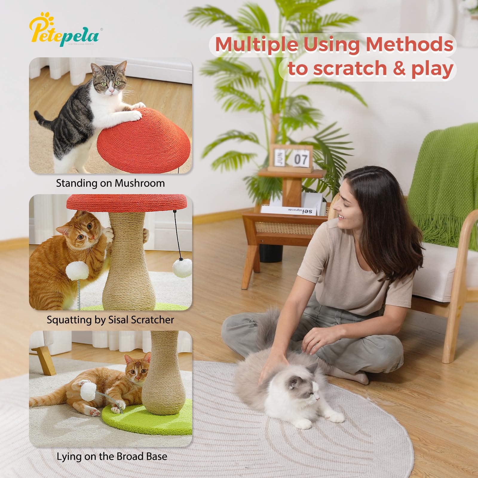 PETEPELA-indoor-cat-use: ideal for indoor cats to stretch, scratch, and stay active.