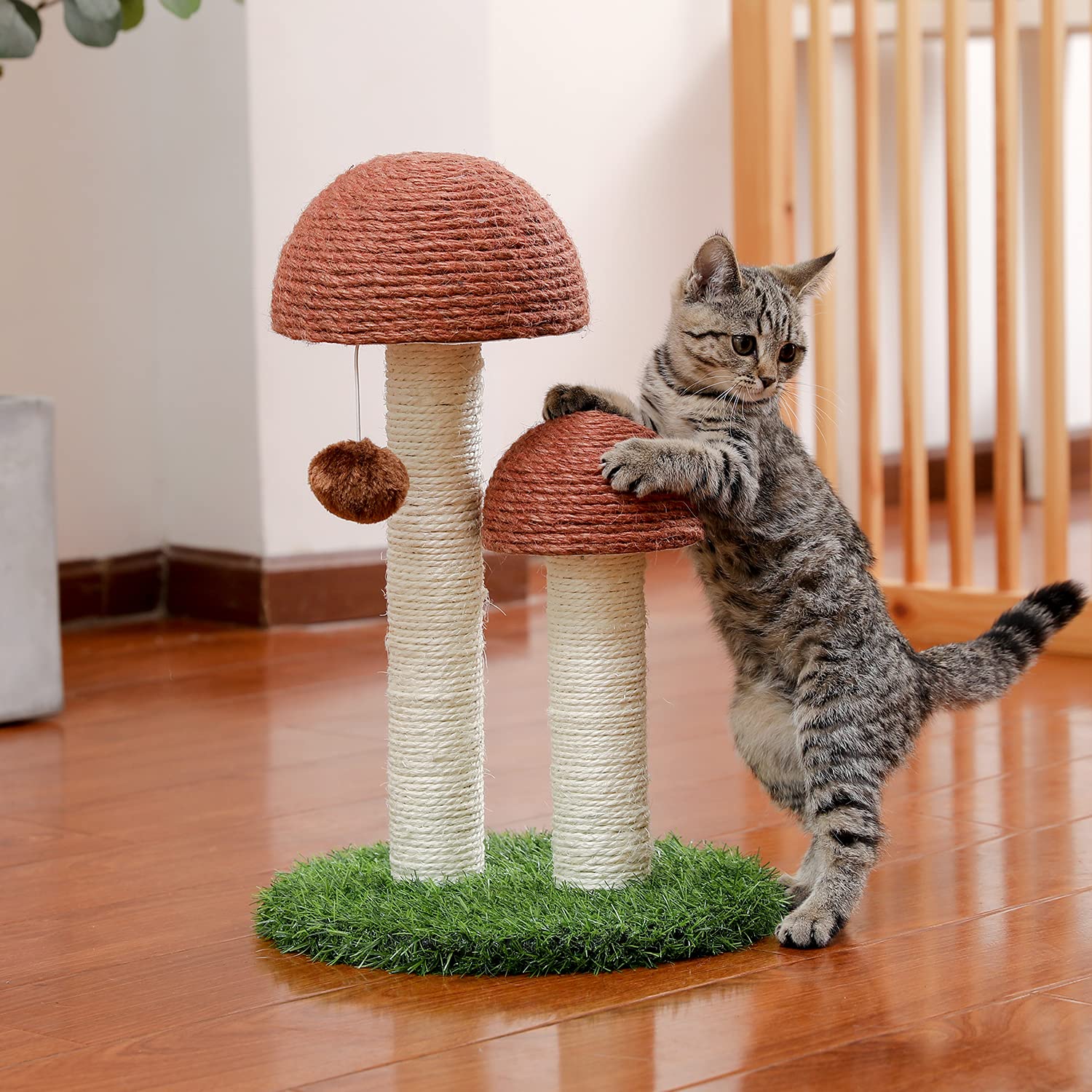 PETEPELA cat scratching post packaging image highlights easy setup
