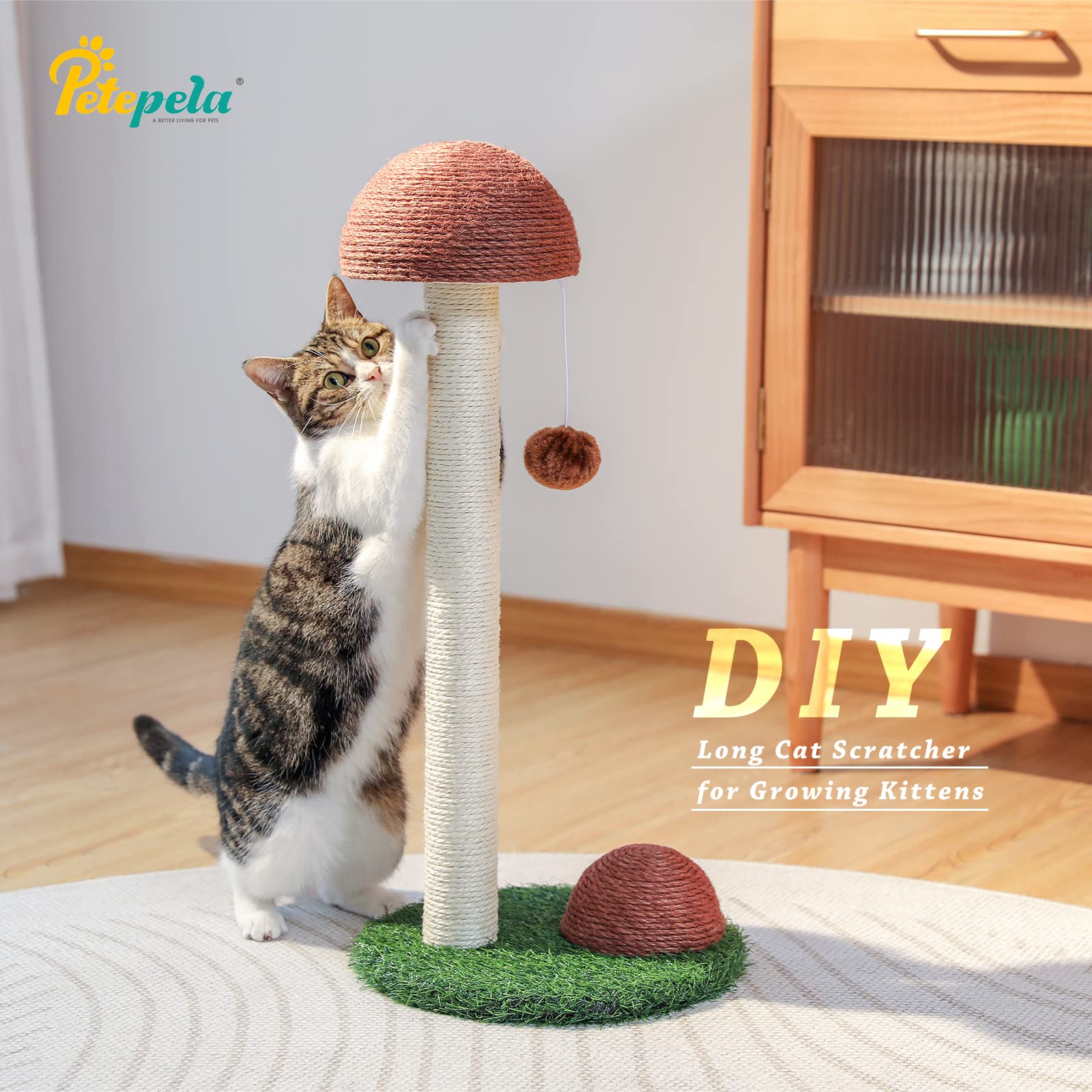 PETEPELA cat scratching post two heights showcases adjustable indoor play