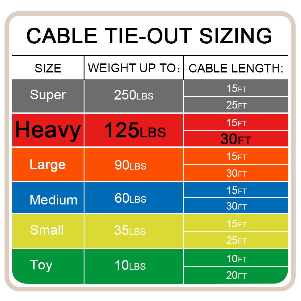 Petest sturdy tie-out ready for outdoor adventures with dogs.