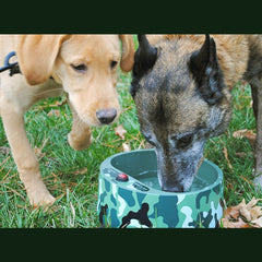 Petfactors thermostat control display shows safe warming range for pets' drinks.
